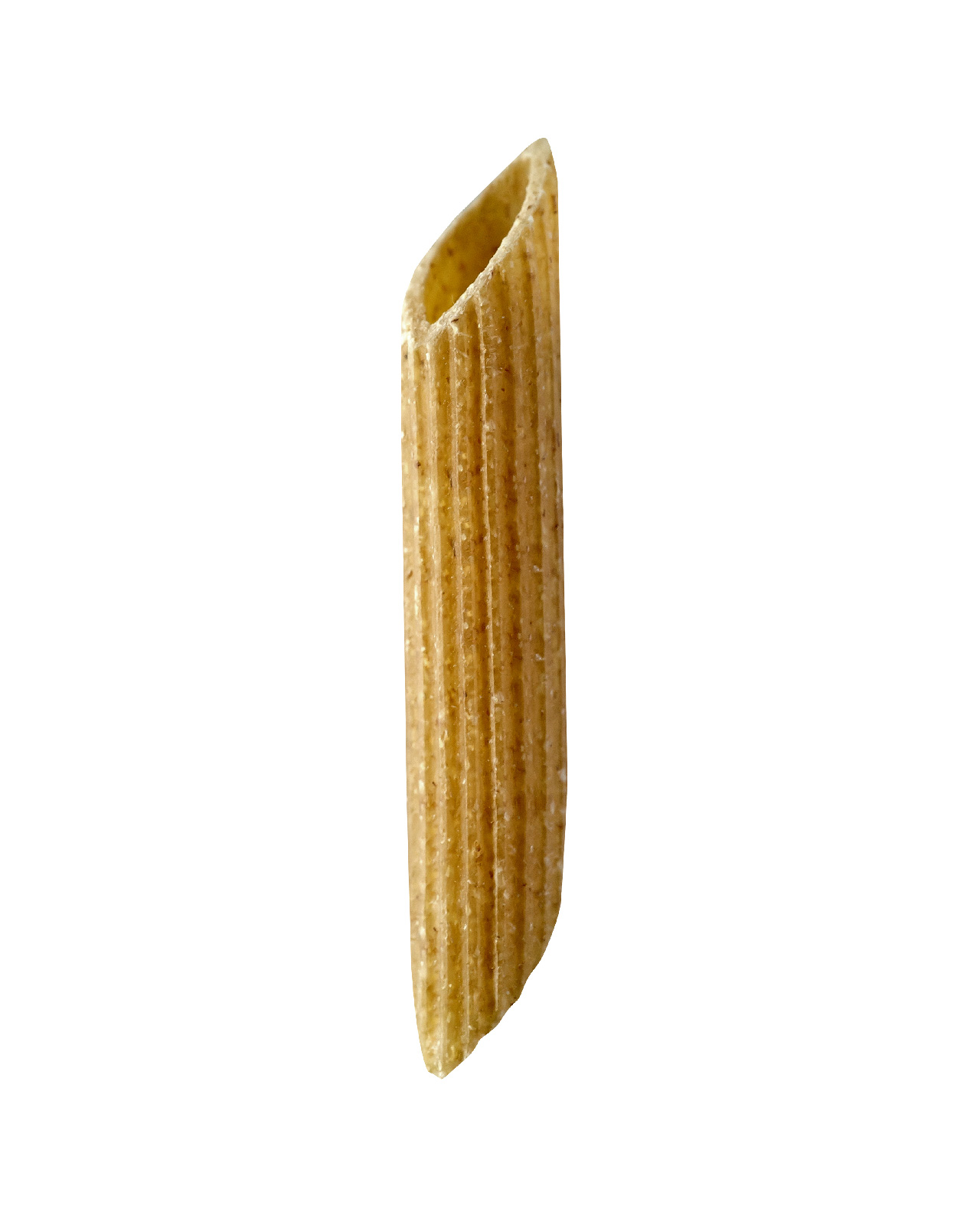 Penne Rigate Integrale Bronzo n° 328